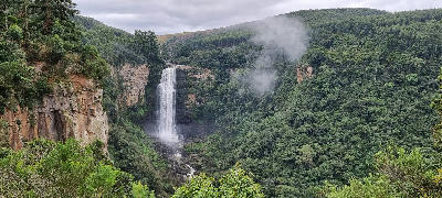 Karkloof Falls dropping into a deep forested gorge surrounded by indigenous woodland and plantation forests in the KwaZulu-Natal Midlands, South Africa.