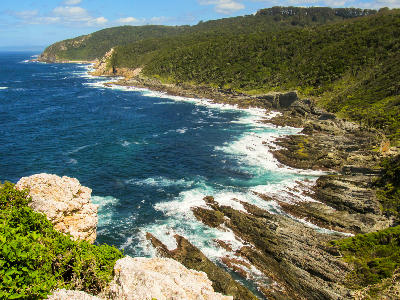 View of the rugged Tsitsikamma Coast with rocky shoreline, surf and forested cliffs along South Africa's Garden Route.