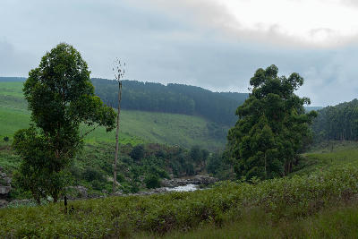 The Karkloof River winding through farmland and forestry plantations in the Karkloof Valley near Howick in KwaZulu-Natal, South Africa.