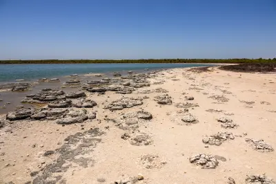 Stromatolite formations spread across the exposed shoreline and shallow water of Lake Thetis.