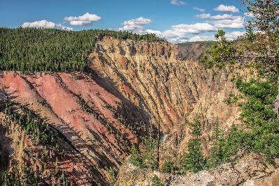 View of the Grand Canyon of the Yellowstone from a north rim overlook showing layered red and yellow canyon walls