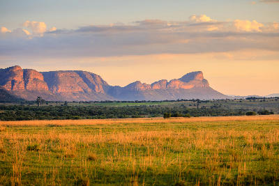 Golden sunrise over the Waterberg Mountains with sandstone cliffs, bushveld grasslands and open savanna stretching across northern South Africa.