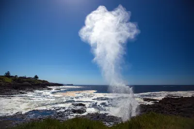 Powerful plume of seawater shoots high above the rocky coastline at Little Blowhole in Kiama beneath a clear blue sky.
