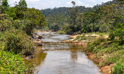 Small wooden footbridge crossing the Ranomafana River within the rainforest landscapes of Ranomafana National Park, Madagascar