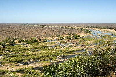 Elevated view of the Olifants River flowing through dry woodland and rocky channels in Kruger National Park, South Africa.