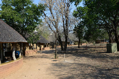 Accommodation bungalows and mature trees inside Skukuza Rest Camp in Kruger National Park, South Africa.