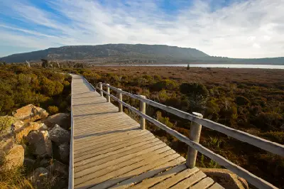 Wooden boardwalk through alpine heath beside Pine Lake on Tasmania’s Central Plateau.
