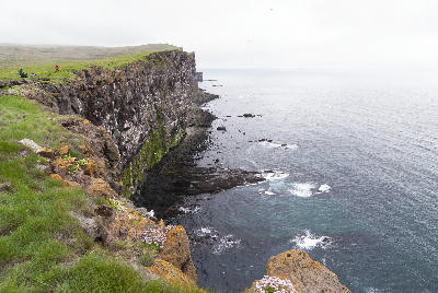 Steep coastal cliffs of Látrabjarg in the Westfjords region of Iceland, with grassy tops and seabirds nesting above the Atlantic Ocean.