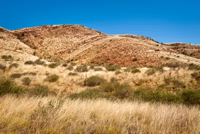 Folded rock layers rise above spinifex grassland in the West MacDonnell Ranges.