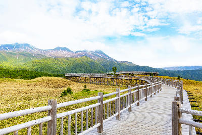 Wooden boardwalk leading through wetlands with Shiretoko mountains in the background