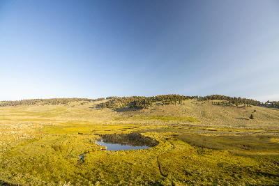 Small reflective pond surrounded by grassy plateau landscape under clear sky, Blacktail Plateau, Yellowstone National Park, Wyoming, USA.