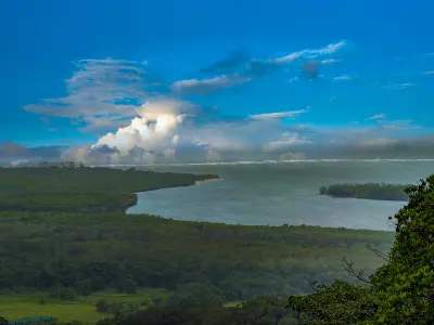 Aerial view of a wide river opening into the sea, framed by dense green rainforest beneath a bright blue sky with white clouds.