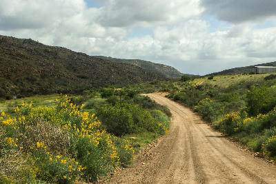 Gravel road winding through fynbos-covered foothills in the Clanwilliam and Cederberg Foothills region of the Western Cape, South Africa.