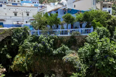 Blue-painted buildings and lush riverside vegetation along the Ras El Maa stream in Chefchaouen, Morocco