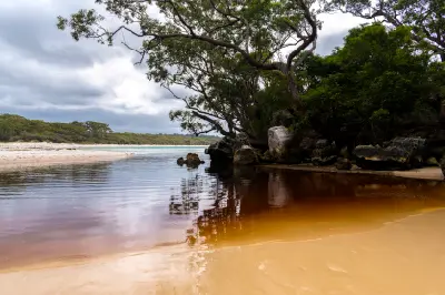 Tea-coloured Green Patch Creek flows between sandy banks and native bushland toward the turquoise waters of Jervis Bay.