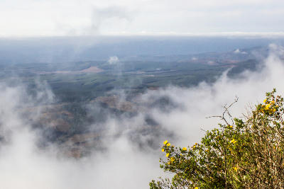 Clouds clearing below Wonder View on the Panorama Route in Mpumalanga, South Africa, revealing forests and Lowveld landscapes stretching into the distance.