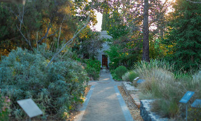 Garden pathway and dense greenery inside the Stellenbosch University Botanical Garden in Stellenbosch, Western Cape, South Africa.
