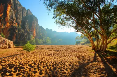 Warm morning light illuminates the towering limestone walls and sandy riverbed of Windjana Gorge, framed by eucalyptus trees.