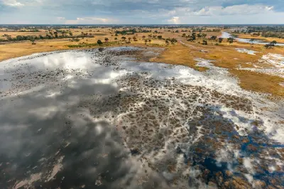Aerial view of flooded channels and reflective floodplains in the Okavango Delta, Botswana.