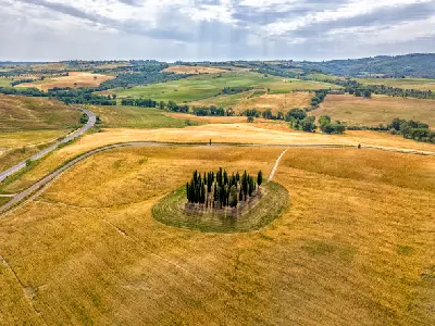 Circular arrangement of cypress trees near Torrenieri, close to Montalcino, Tuscany, Italy.