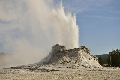 Castle Geyser erupting with powerful steam plume Yellowstone National Park