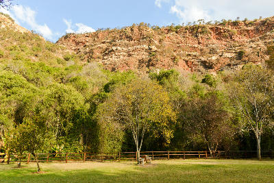 Lawn and indigenous woodland beneath the rocky cliffs of Walter Sisulu National Botanical Garden in Roodepoort, Gauteng.