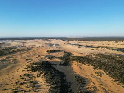 Aerial view across the Pinnacles Desert, with limestone formations scattered among sweeping sand dunes and coastal vegetation.