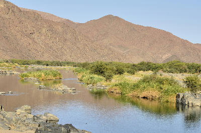 The Orange River flowing through Richtersveld National Park, bordered by reeds, rocky riverbanks and rugged desert mountains in the Northern Cape.