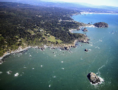 Aerial view of Northern California coastline and forested headlands Humboldt County