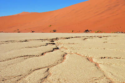 Cracked white clay pan and red sand dunes in the Sossusvlei region of Namibia.