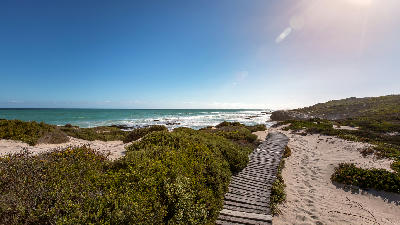 Wooden boardwalk crossing coastal dunes and vegetation beside the ocean in De Hoop Nature Reserve in South Africa’s Western Cape.