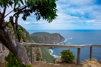 Clifftop viewpoint on the Cape Raoul walking track overlooking the Tasmanian coastline.