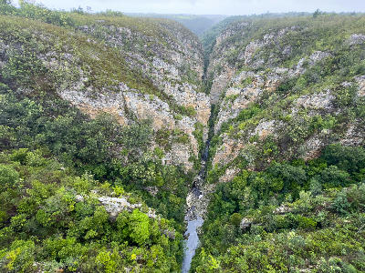 Aerial view into the narrow Bloukrans River Gorge surrounded by cliffs and indigenous forest on the Garden Route.