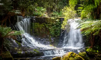 Horseshoe Falls flowing over dark mossy rock ledges surrounded by dense tree ferns in Mount Field National Park, Tasmania.