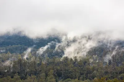Low clouds and mist drifting through dense temperate forest in Franklin-Gordon Wild Rivers National Park, Tasmania.