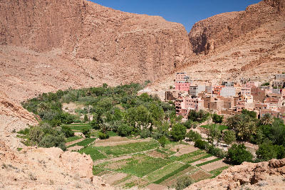 Palm groves and village oasis beneath the canyon walls of Todra Gorge in Morocco