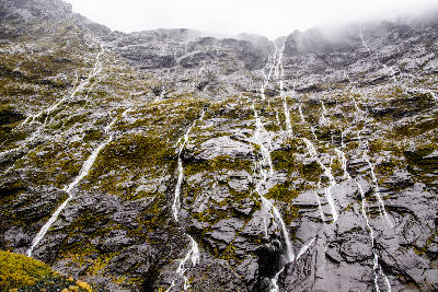 Dozens of temporary waterfalls cascading down steep cliffs in Cleddau Valley near the Homer Tunnel on the Milford Road in Fiordland National Park, New Zealand.