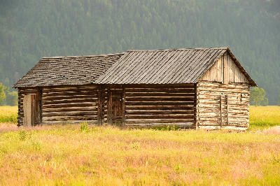 Log cabin on Mormon Row in grassy field with forested background, Grand Teton National Park, Wyoming, USA.