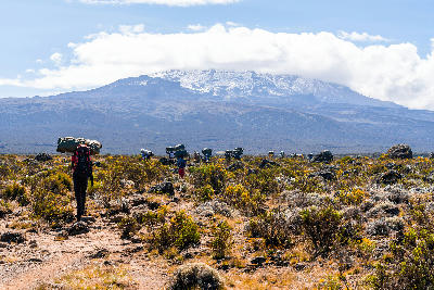 Porters carrying expedition equipment across the Shira Plateau with Mount Kilimanjaro in the background at approximately 3,600 metres above sea level, Tanzania.