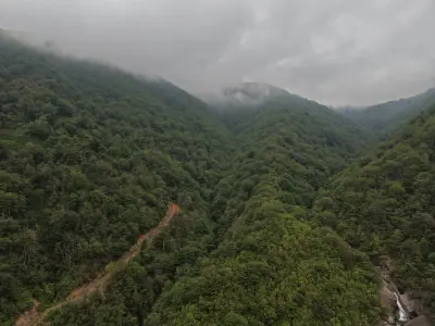 Misty forested valley surrounding Ağaran Waterfall near Çayeli, Rize, Turkey, with the waterfall visible below.
