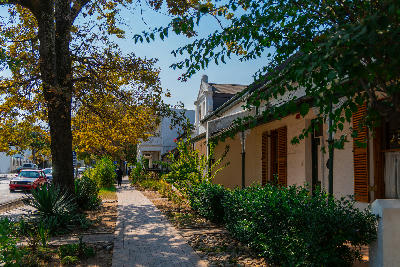 Cape Dutch houses and oak-lined sidewalk along Dorp Street in Stellenbosch town centre, Cape Winelands, Western Cape, South Africa.