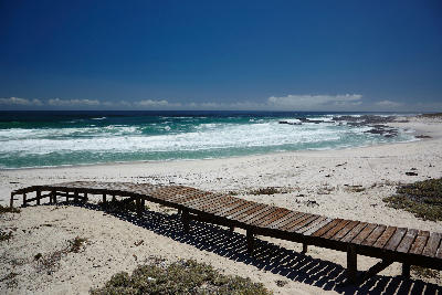 Boardwalk leading across coastal dunes to the white sands and Atlantic waves of Sixteen Mile Beach near Yzerfontein, South Africa.