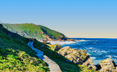 Wooden boardwalk through fynbos overlooking the coastline of Robberg Nature Reserve near Plettenberg Bay, South Africa.