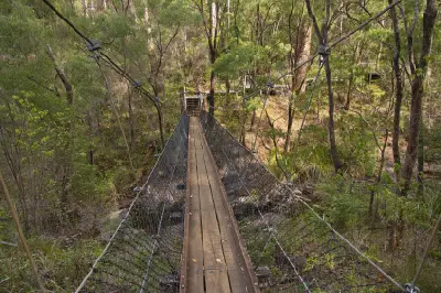 Wooden suspension bridge on the walking trail to Beedelup Falls in Greater Beedelup National Park, Western Australia.