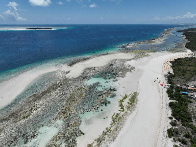 Aerial view of Muyuni Beach, exposed reef flats, Mnemba Island, and Mnemba Atoll off Zanzibar's northeast coast, Tanzania.