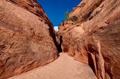 Narrow entrance to Spooky Gulch, with smooth red sandstone walls closing around a sandy passage beneath a deep blue sky.