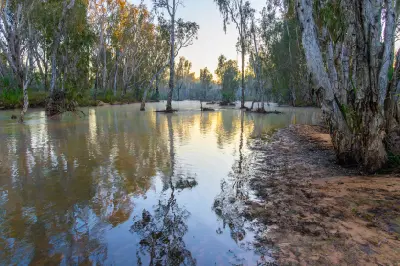 Calm water reflects riverside eucalyptus trees in the soft early morning light along the Drysdale River.