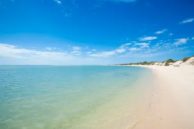 Shallow turquoise water laps a long white-sand beach backed by low coastal vegetation at Monkey Mia.