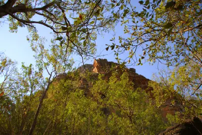 Sandstone rock peak partially framed by eucalyptus trees and leafy branches at Burrungkuy (Nourlangie), Kakadu National Park, Northern Territory, Australia.