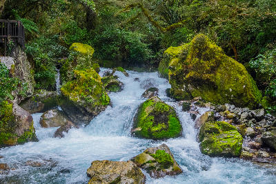 Lake Marian Falls flowing through moss-covered boulders along the Lake Marian Track in Fiordland National Park, New Zealand.